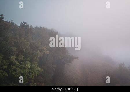 Nebbia mattina autunnale nella foresta. Tiro drone a bassa altitudine in Regno Unito Foto Stock