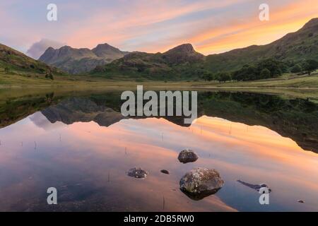 Alba vibrante con idilliaci riflessi specchiati in lago con rocce. Blea Tarn, Lake District, Regno Unito. Foto Stock