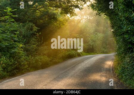 Il maestoso fascio di luce dorata che splende attraverso le tettoie degli alberi su una strada di campagna nel Distretto del picco Inglese in una bella mattinata d'autunno. Foto Stock