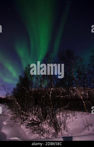 Un aurora boreale, talvolta indicato come luci polari o luci settentrionali, è un'esposizione di luce naturale nel cielo della Terra, vista prevalentemente nella Foto Stock