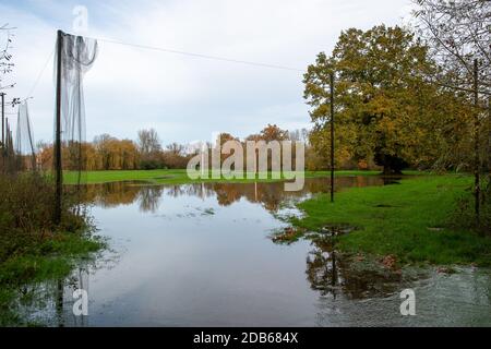 Denham, Buckinghamshire, Regno Unito. 16 novembre 2020. Dopo la pioggia pesante negli ultimi giorni il fiume Colne ha fatto esplodere le sue rive e ha allagato il campo pratica da golf del Buckinghamshire Golf Club vicino al Denham Country Park. Credit: Maureen McLean/Alamy Live News Foto Stock