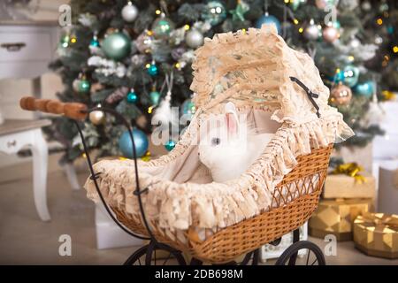 Un coniglio bianco si trova all'interno di un passeggino retrò per bambole. Decorazione di Natale, albero di Natale con luci ghirlande. Anno nuovo. Animali domestici a casa Foto Stock