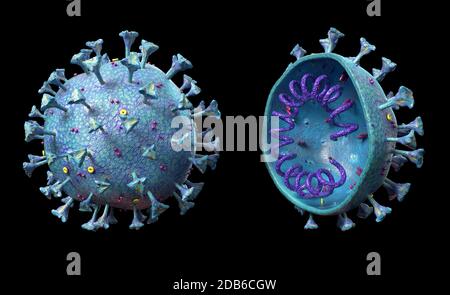 Scena del virus Corona con struttura dettagliata e sezione trasversale. Rendering 3D su sfondo nero. Foto Stock