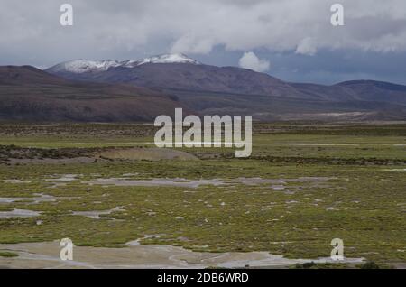 Laghi di Cotacotani nel Parco Nazionale di Lauca. Regione di Arica y Parinacota. Cile. Foto Stock