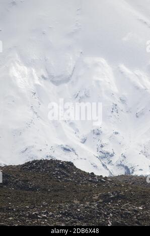 Pendenza del vulcano Parinacota nel Parco Nazionale di Lauca. Regione di Arica y Parinacota. Cile. Foto Stock