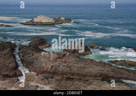 Scogliera rocciosa e isolotto nella costa. Las Cuevas. Arica. Regione di Arica y Parinacota. Cile. Foto Stock