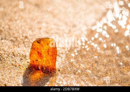 Ambra su una spiaggia del Mar Baltico nel surf Foto Stock