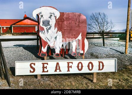 Bull Sign, Seafood, Chittenango, New York, USA, John Margolies Roadside America Photograph Archive, 1988 Foto Stock