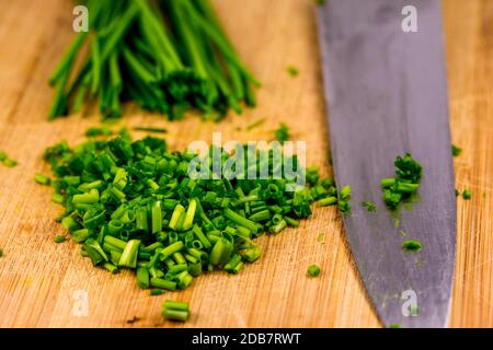 erba cipollina, fessa tagliò le foglie in un primo piano Foto Stock