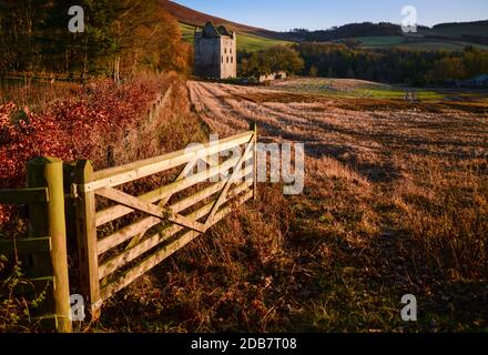 Il Castello di Newark si trova sopra Yarrow Water sulla Bowhill Estate vicino a Selkirk, ai confini scozzesi, in Scozia, Regno Unito Foto Stock