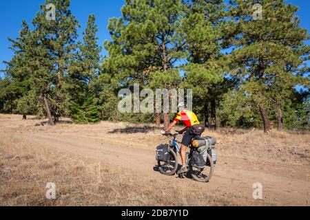 WA18145-00...WASHINGTON - cavalcare le strade aspre attraverso l'Area Naturale di Oak Creek sulla salita di 3,250 piedi del Monte Cleman. Foto Stock