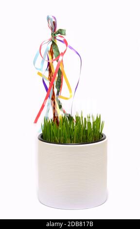 Erba di grano fresco coltivata in vaso con frusta decorata con nastri multicolore. Decorazioni tradizionali di primavera Pasqua. Foto Stock