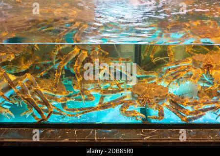 Molti grandi granchio vivi nel serbatoio di acqua Foto Stock