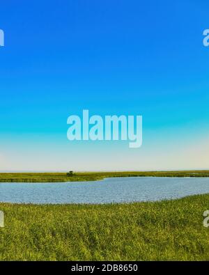 vista sul darroser ort al mar baltico vicino prerow Foto Stock