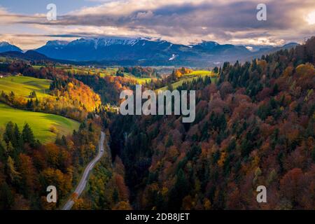 Foto aerea di un'auto che attraversa una foresta autunnale, l'Austria Foto Stock
