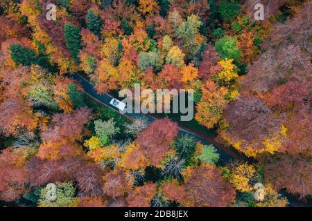 Foto aerea di un'auto che attraversa una foresta autunnale, l'Austria Foto Stock