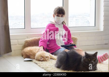 Una ragazza squarantinata si siede sul pavimento con un tablet, gatti sono sdraiati accanto al tappeto Foto Stock
