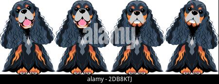 Vector Set cani American Cocker Spaniel nero e oro seduta design piatto a icone Foto Stock