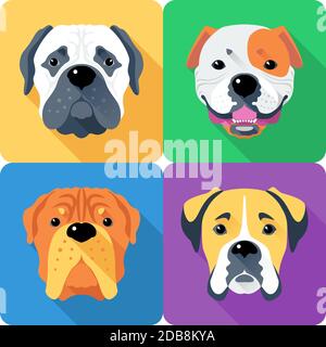 Vector cane Bullmastiff, Francese Mastiff, Boxer e American Bulldog razza face icona design piatto Foto Stock