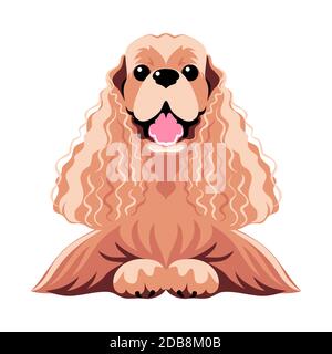 Vettore cane americano Cocker Spaniel con cappotto marrone sdraiato design piatto a icone Foto Stock