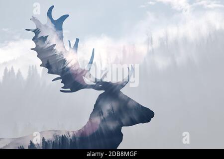Doppia esposizione di renna e di una pineta nebbiosa Foto Stock