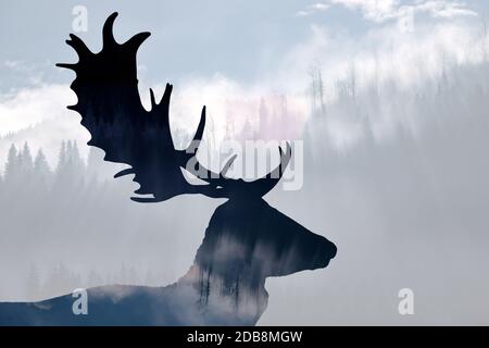 Doppia esposizione di renna e di una pineta nebbiosa Foto Stock