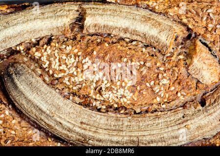 Pane casereccio appetitoso di grano saraceno con banana Foto Stock