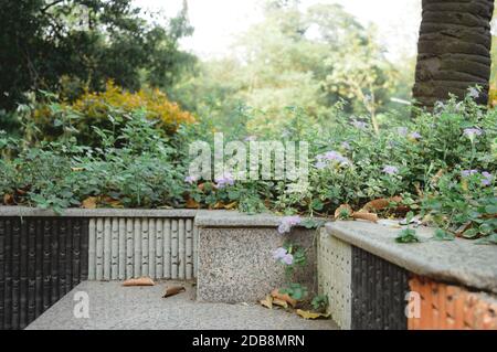 Scalini e scale in marmo di pietra Park panca di un parco pubblico decorato con piante floreali. Elementi di design verdi del cortile anteriore o posteriore di un residence Foto Stock