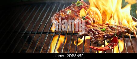 Costolette di maiale speziate marinate grigliate su un fuoco barbecue tra le fiamme calde all'aperto in un banner panoramico con spazio copia Foto Stock