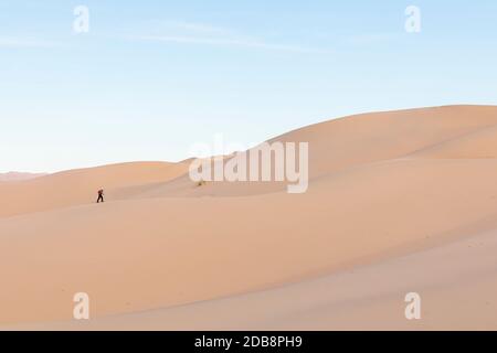 Khongoryn Els è conosciuta come 'Singing Sands'. Queste dune di sabbia si trovano all'interno del Parco Nazionale Gobi Gurvansaikhan nel deserto di Gobi a Mongol Foto Stock