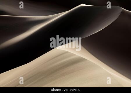 Khongoryn Els è conosciuta come 'Singing Sands'. Queste dune di sabbia si trovano all'interno del Parco Nazionale Gobi Gurvansaikhan nel deserto di Gobi a Mongol Foto Stock