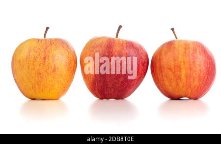 Tre mele rosse e gialle allineate su un bianco sfondo Foto Stock