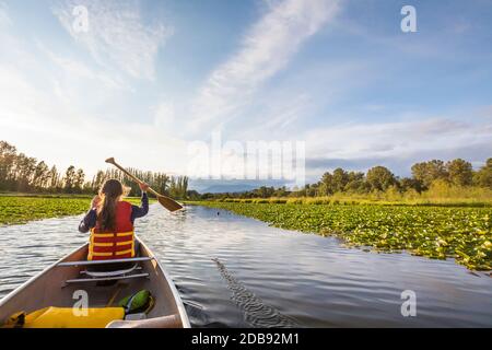 Canoa sul lago Burnaby, British Columbia. Foto Stock