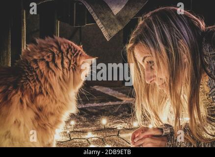 Gatto zenzero e una donna che guarda le luci di Natale Foto Stock