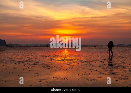 Silhouette del fotografo che guarda il mirino sulla macchina fotografica per catturare l'alba al mattino a Takua Thung, Phang Nga, Thailandia Foto Stock