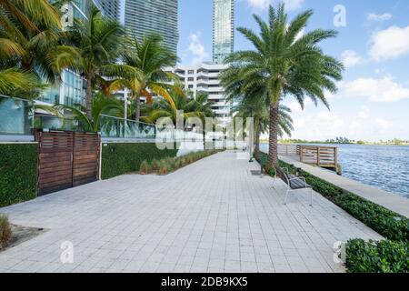 Passerella con palme di Biscayne Bay Miami FL Foto Stock