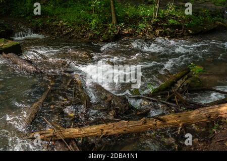 Lower Decew Conservation Area Ontario Canada Foto Stock