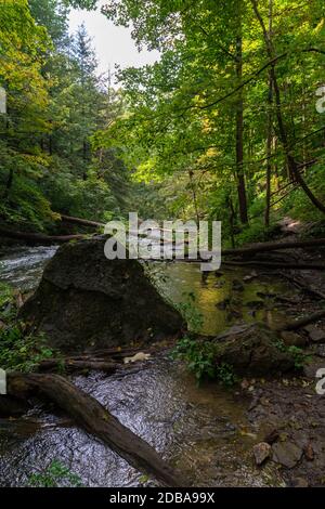Lower Decew Conservation Area Ontario Canada Foto Stock