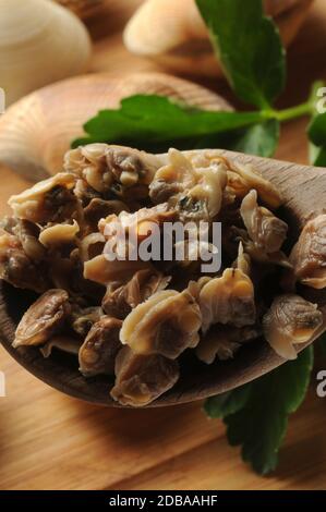 Primo piano di vongole sgusciate nel cucchiaio Foto Stock