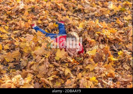 giovane ragazzo bello si trova sul fogliame autunno nel parco Foto Stock