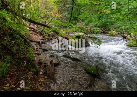 Lower Decew Conservation Area Ontario Canada Foto Stock