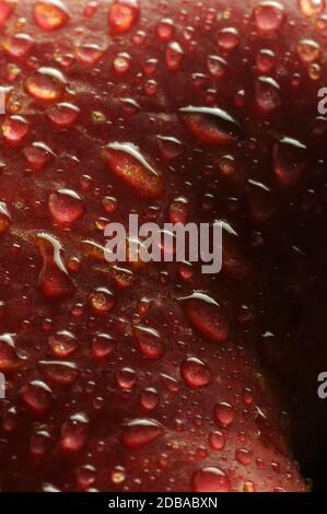 Gocce d'acqua su una mela matura Foto Stock