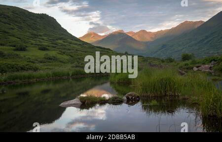 Beaver stagno lungo la zecca d'oro, Hatcher Pass Recreation Area, Alaska Foto Stock