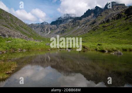 Beaver stagno lungo la zecca d'oro, Hatcher Pass Recreation Area, Alaska Foto Stock