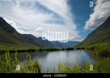 Beaver stagno lungo la zecca d'oro, Hatcher Pass Recreation Area, Alaska Foto Stock