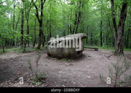 Dolmen in Shapsug. Foresta nella città vicino al villaggio di Shapsugskaya, le attrazioni sono Dolmen e rovine di civiltà antica. Foto Stock