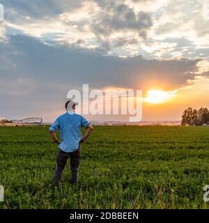 USA, Idaho, Bellevue, uomo in campo al tramonto Foto Stock