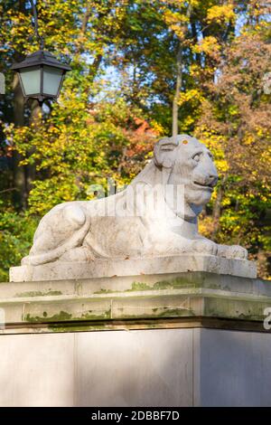 Varsavia, Polonia - 19 ottobre 2019: Teatro classico dell'isola, anfiteatro nel Parco delle Terme reali di Varsavia, Lazienki Warszawskie, statua di pietra del leone Foto Stock