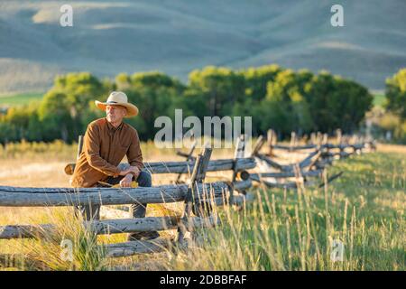 USA, Idaho, Bellevue, Rancher che si appoggia contro la recinzione sul campo Foto Stock