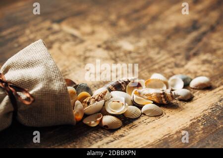 I piccoli gusci vengono versati da un sacchetto di lino. Luogo per il testo su sfondo rustico di legno, primo piano. Tonato. Foto Stock